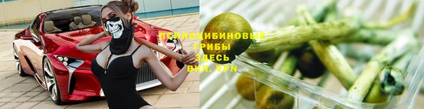 гидра Дмитриев