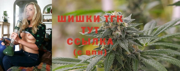 стафф Михайлов